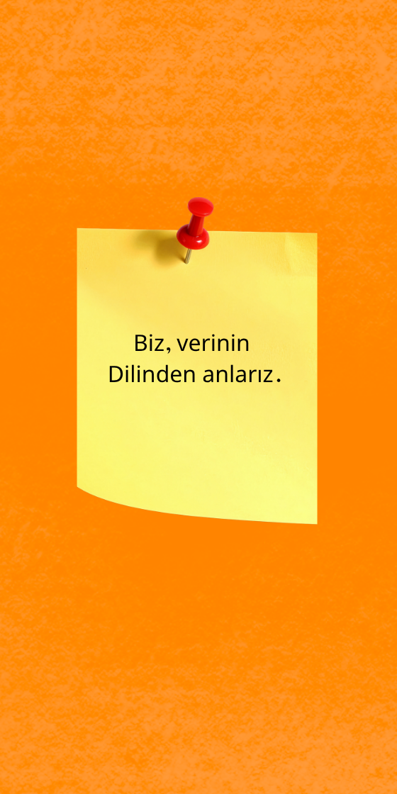 Finansal verileri takip eden şirket sahibi